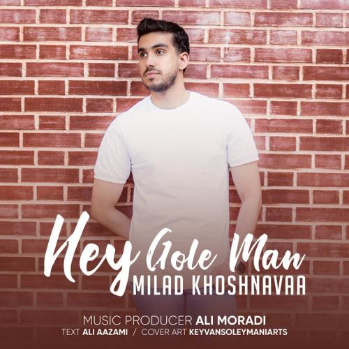 دانلود آهنگ هی گل من